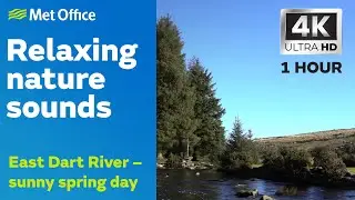 Sounds of weather – flowing river spring day - water, nature, sleep, relaxing, meditation ASMR 4K