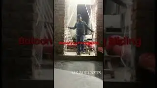 Anti Bird Net Services with Zipper System | Pigeon net installation in Gurgaon |Bird Netting Gurgaon
