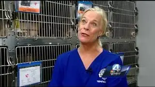 Trap, Neuter, Release