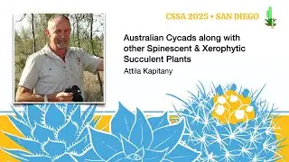 Australian Cycads along with other Spinescent & Xerophytic Succulent Plants &ndash; Attila Kapitany