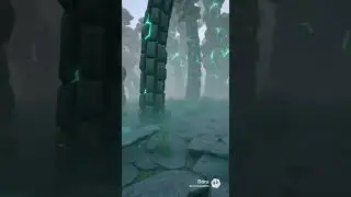 Living Stone Forest Realm