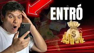 💰Plan de pagos Fitline (Pm International) | Oportunidad en Network Marketing