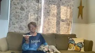 🐶 DIY Dog Grooming at Home | Best LED Pet Hair Trimmer You Must See! 💡