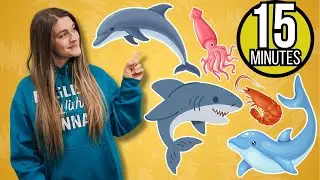 15 minutes Easy English Ocean animal for Everyone