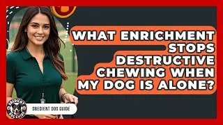 What Enrichment Stops Destructive Chewing When My Dog Is Alone? - Obedient Dog Guide
