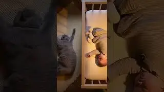 고양이의 꿀잠 포즈 &bull; Cat Copies Baby&rsquo;s Sleep Pose  #SleepSync #CatAndBaby #WholesomeMoment