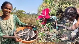 नयासाल मे मछली पकड़ने का मजा 🐬🐟🐋