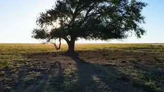 826 Acres Adrian TX Oldham County