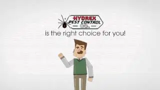 Hydrex Pest Control: Right pest control Management