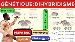 SVT#DIHYBRIDISME#Test_cross#homozygote#Hétérozygote#dominance_complete#