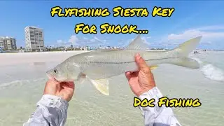 Flyfishing Siesta Key for Snook