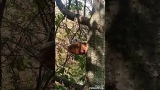 Mesmerizing view of Birds Aviary - Islamabad