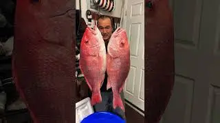 Jumbo red snapper #c&acirc;uc&aacute; #fish #cuoccauca #redsnapper #fishing