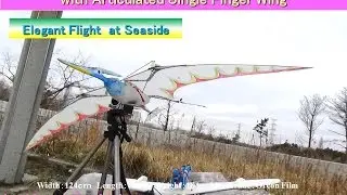 Pteranodon32iV with New GLDAB：Elegant Flight at Seaside