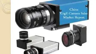 China GigE Camera Sales Market Report