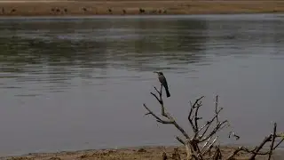 Live session at the hippo hide