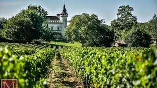 DJI Phantom 4 & Ronin M filming of French vineyard