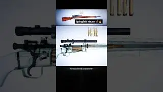 Springfield Mauser Rifle: Legendary Bolt-Action Design Explained