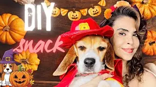 How to Make Pumpkin Dog Treats