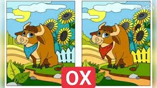 find difference،Learn animal names #spotdifferencesاوجد الاختلافات وتعلم اسماء الحيوانات بالانكليزية