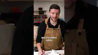 The Coach Tabby Bag, What's All The Hype?