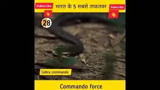 India k 5 powerfull commando force #army #shorts #shortvideo #viral #lindia #Z-NINJA GAMING