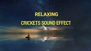 Crickets Chirping Sound Effect | Relax With Nature Sound | Crickets Natural Sound | Invisible Beauty