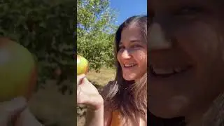the BEST Secret Apple Picking Spot in San Bernardino County