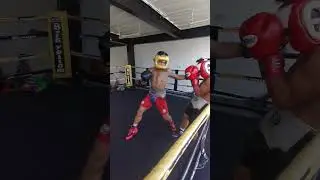 Чемпион Азии по версии WBA в суперлёгком весе Реймарт Тагаканао/Спарринг-Дэй