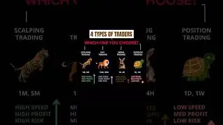 4 Types Of Traders #fx #motivation #millionaire #daytrader #trading #stockmarket #forex #crypto