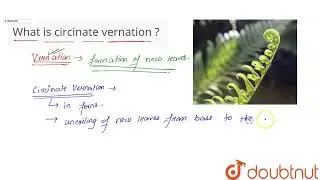What is circinate vernation ? | CLASS 10 | PRACTICALS  | BIOLOGY | Doubtnut