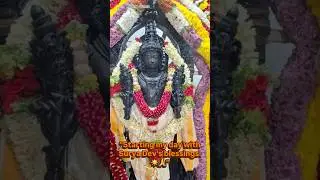 Powerful Surya Pooja & Homa Blessings! ☀️🔥 | Rising Suma