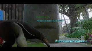 Anteater Indoor/outdoor habitat- Planet Zoo/ Mexico Beach Zoological Reserve