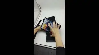 Crystal Pilot Flip Pad for mini iPad 6