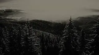 stare out the window as you listen to this