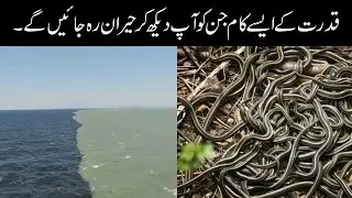 Wonderful Miracles of Nature | قدرت کا شاندار منظر | Strange phenomena of Nature | NQ Tv
