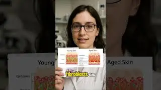Energy won&rsquo;t return until your cells have the molecule they need to power it