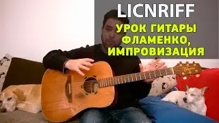 Урок гитары: фламенко. Обучение импровизировнию  в стиле испанских гитаристов