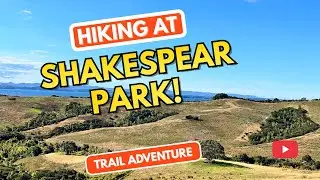 This Auckland Park Deserves More Attention&hellip; Shakespear Park Vlog