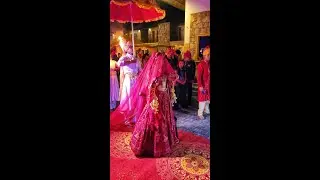 royal wedding at jollywood#padmavati #rajasthani #jollywood