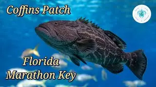 Scuba Diving, Florida Keys,  Marathon, Coffins Patch
