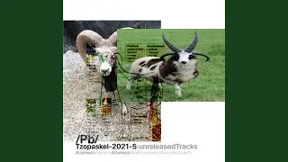 bgm100 [2024]
