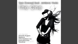 The One (Trancemicsoul Break Up Mix) (feat. Jaidene Veda)
