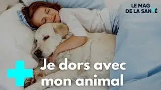 Dormir avec son animal, une bonne idée ? - Le Magazine de la Santé