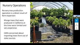 Inland Empire CRFG August Meeting - Mangos - Rod Chamberlain