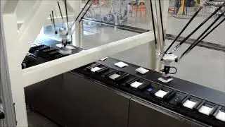 High Speed Carton Loading | Remtec Automation