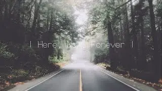 Carousel Kings - Here, Now, Forever | Lyrics / Legendado