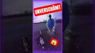 🤣🤣🤣Engelsbotschaft f&uuml;r dich 💩🐶😱