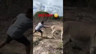 DESTINY AFFI COME DUNG #fypシ゚ #funny #viralvideo #tiktok #destiny