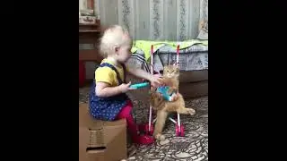 🐈 Funny CAT Must Play With The Kid🐈&zwj;⬛ #shorts